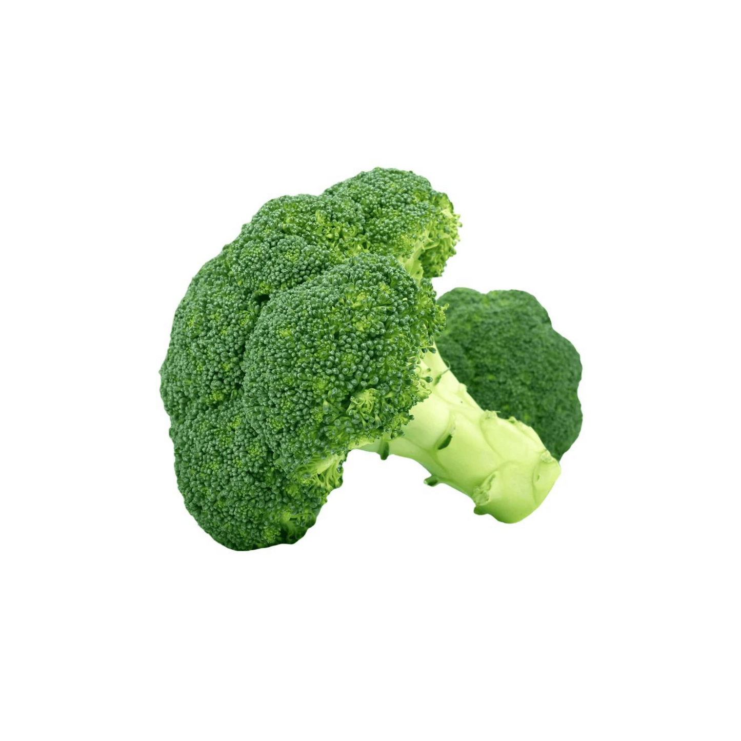 products/000000000004459567.png