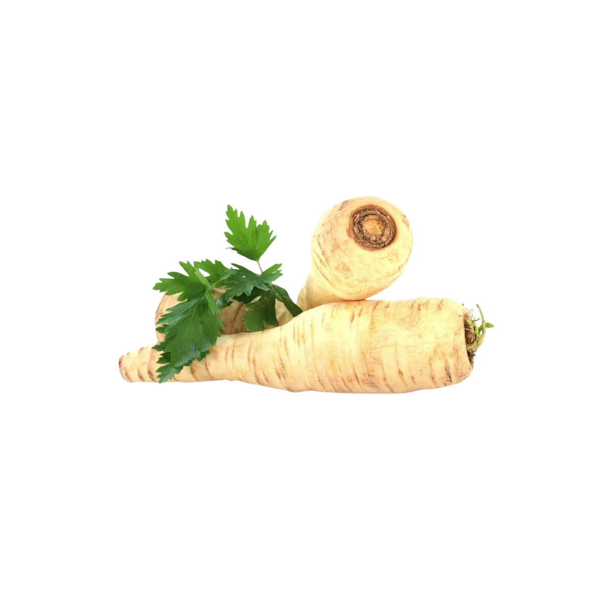 products/000000000004513744.png