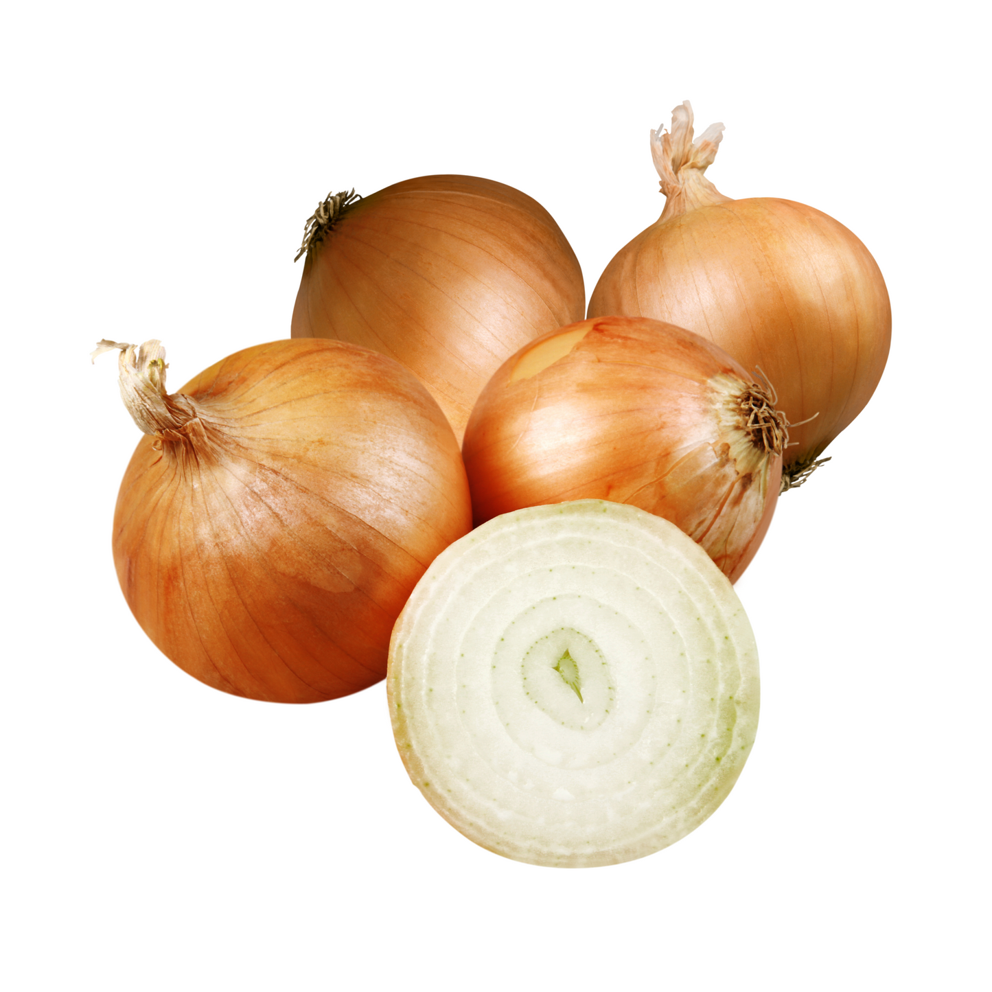 Unsere Heimat Zwiebeln Deutschland,Mecklenburg-Vorpommern Klasse I 500g Girsac / Carry Fresh