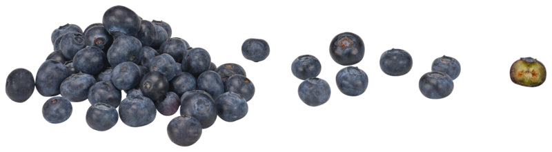 San Lucar Kulturheidelbeeren Italien Klasse I 150g Kartoneimer/-becher