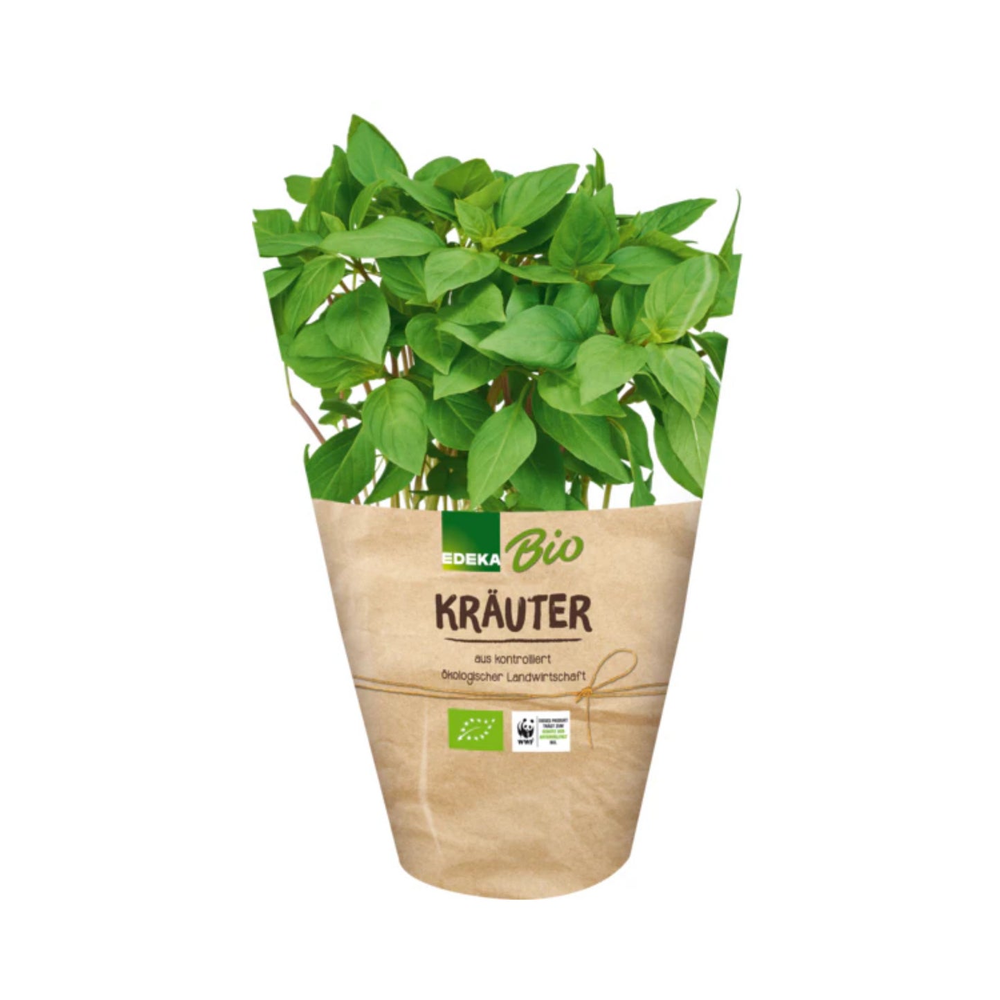 Bio EDEKA Thai-Basilikum im Topf 13cm Deutschland getütet