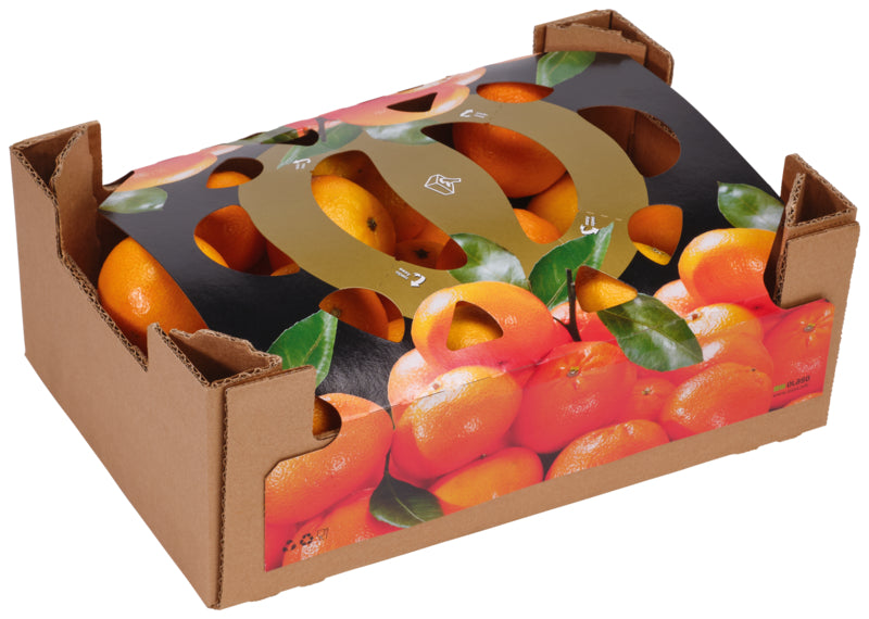 Clementinen 2-3er behandelt Spanien Klasse I 2,3kg Karton