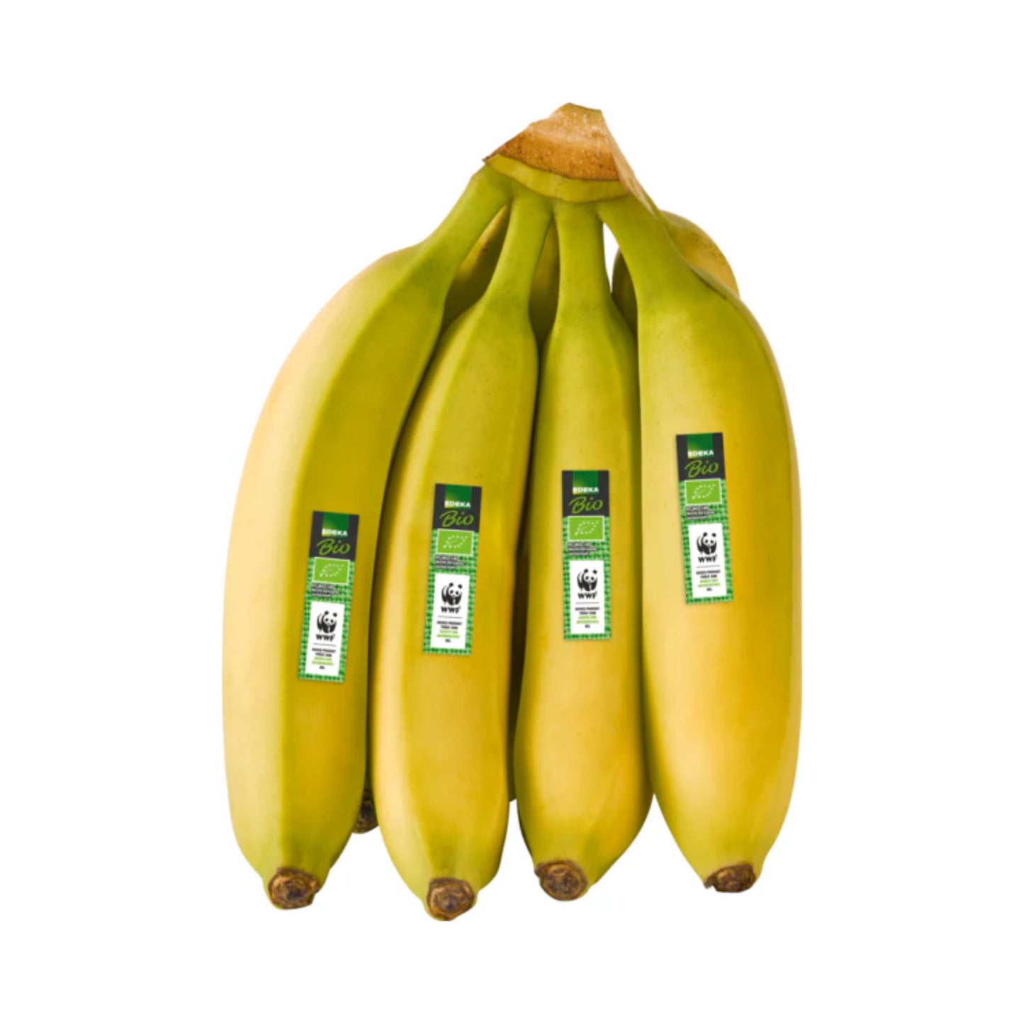 Bio EDEKA Bananen WWF Kolumbien