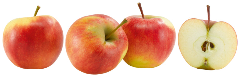 San Lucar Äpfel Elstar Deutschland Klasse I 550g Karton