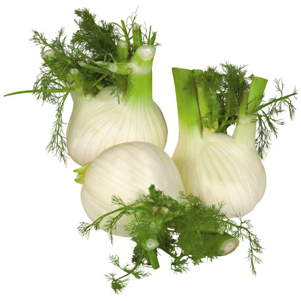 Unsere Heimat Fenchel
