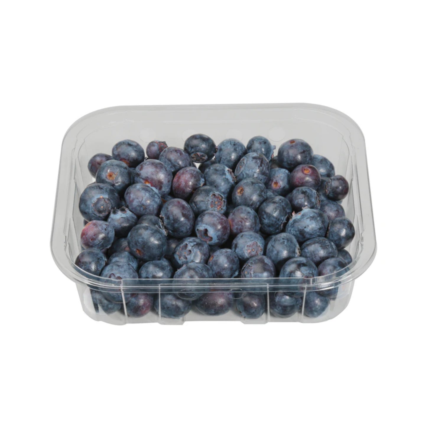 Beeren Heidel Sekoya