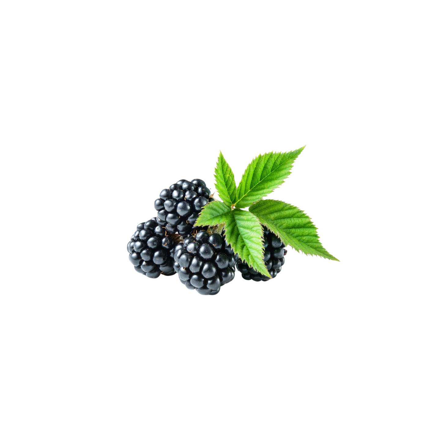 Brombeeren 125g