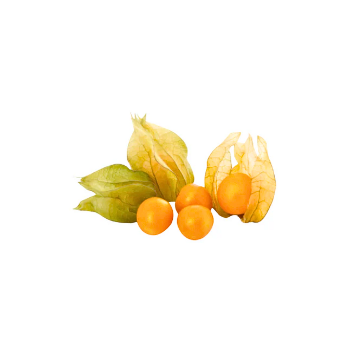 Physalis 100g