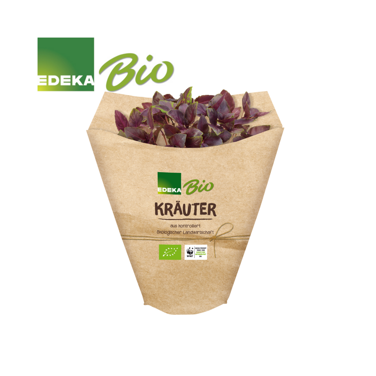 EDEKA Bio Basilikum rot im Topf