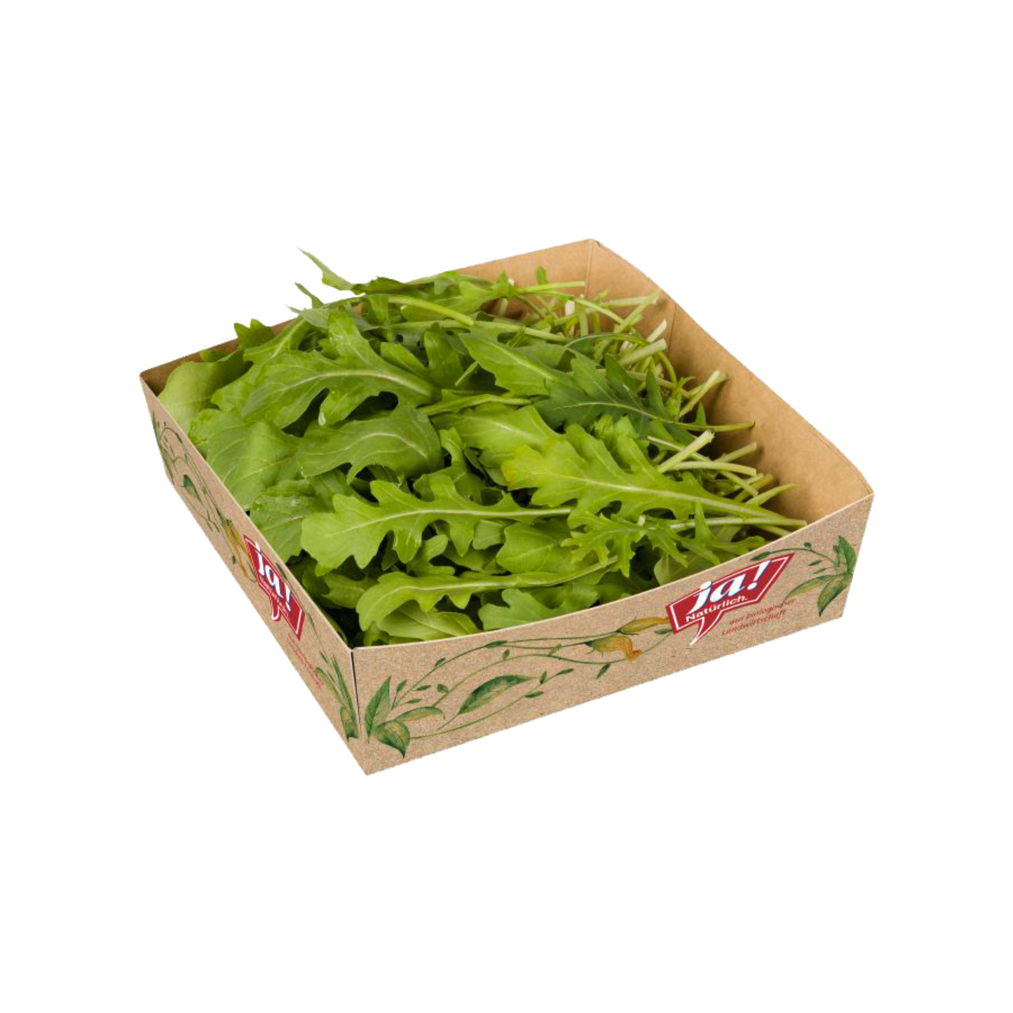 Bio Rucola in Scheiben 50% Fett i.Tr.6xca.160g