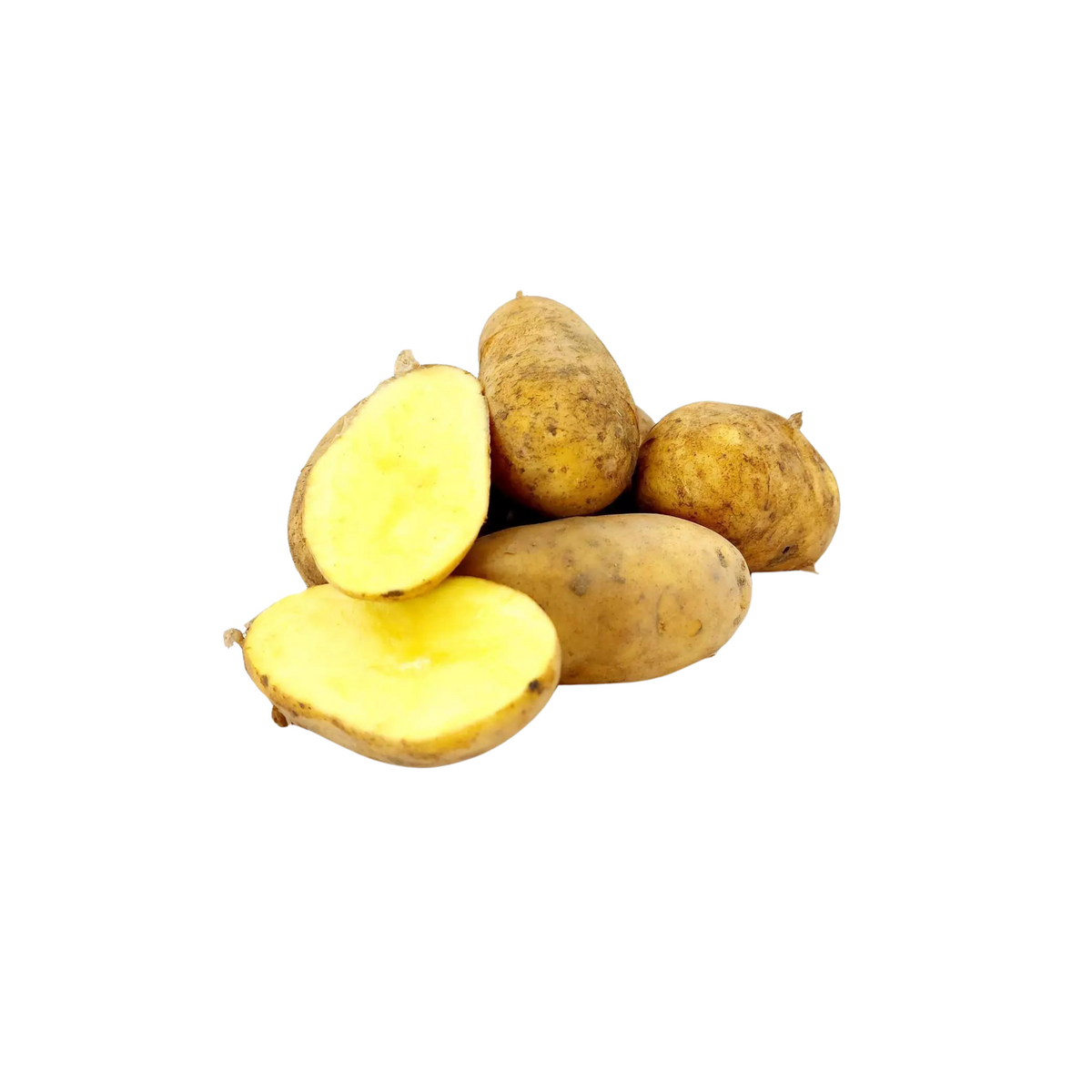 products/000000000004465722.png
