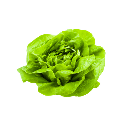 products/000000000004465753.png