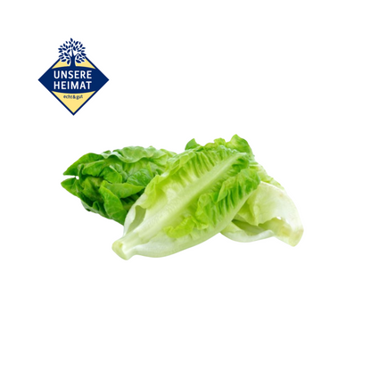 products/000000000004467261.png