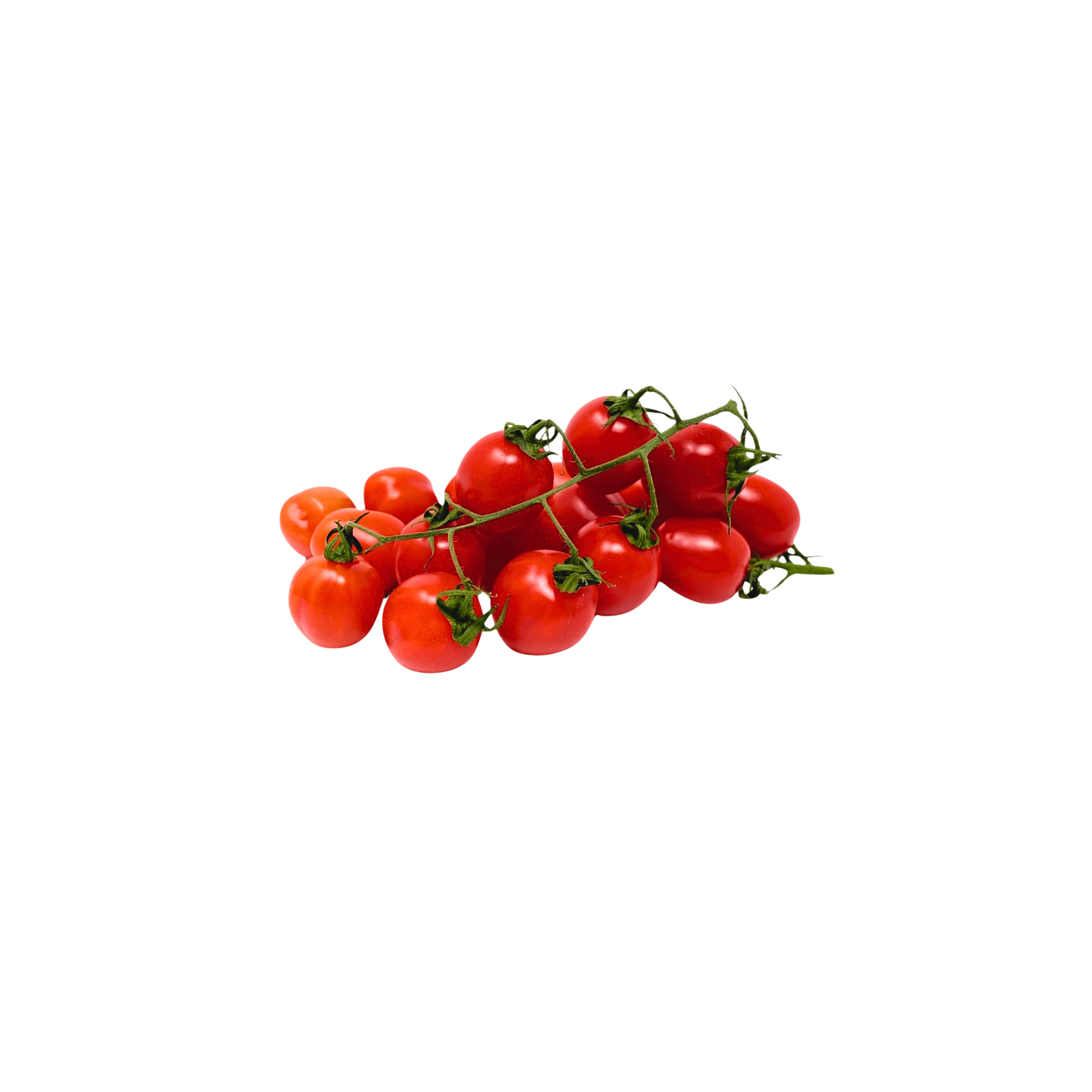 products/000000000004468264.png