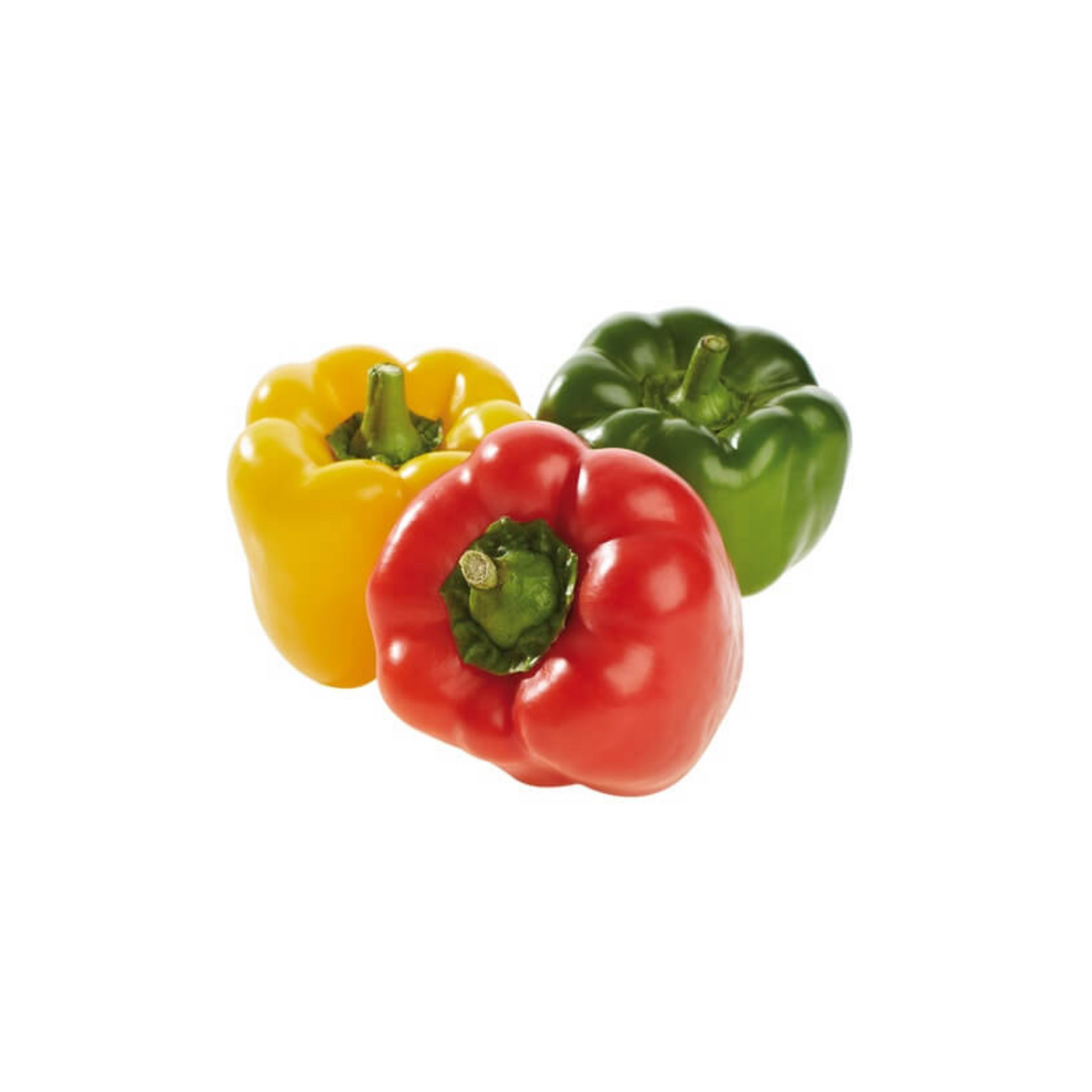 products/000000000004469007.png