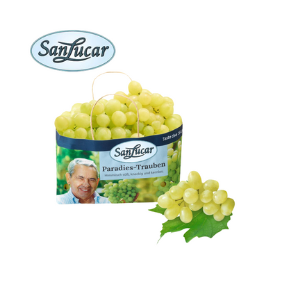 products/000000000004470465.png