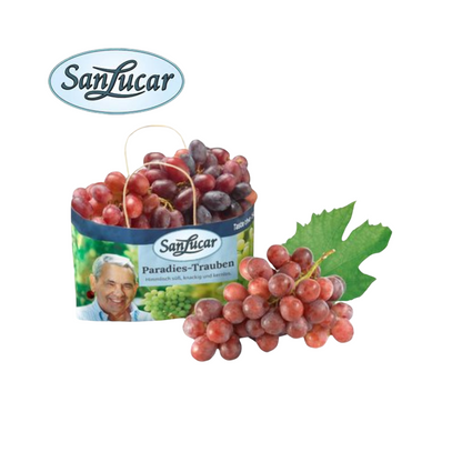 products/000000000004470472.png
