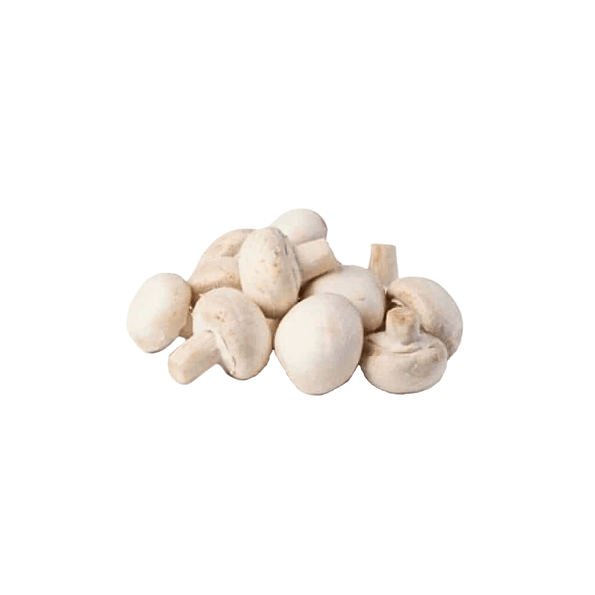 products/000000000004495631.png