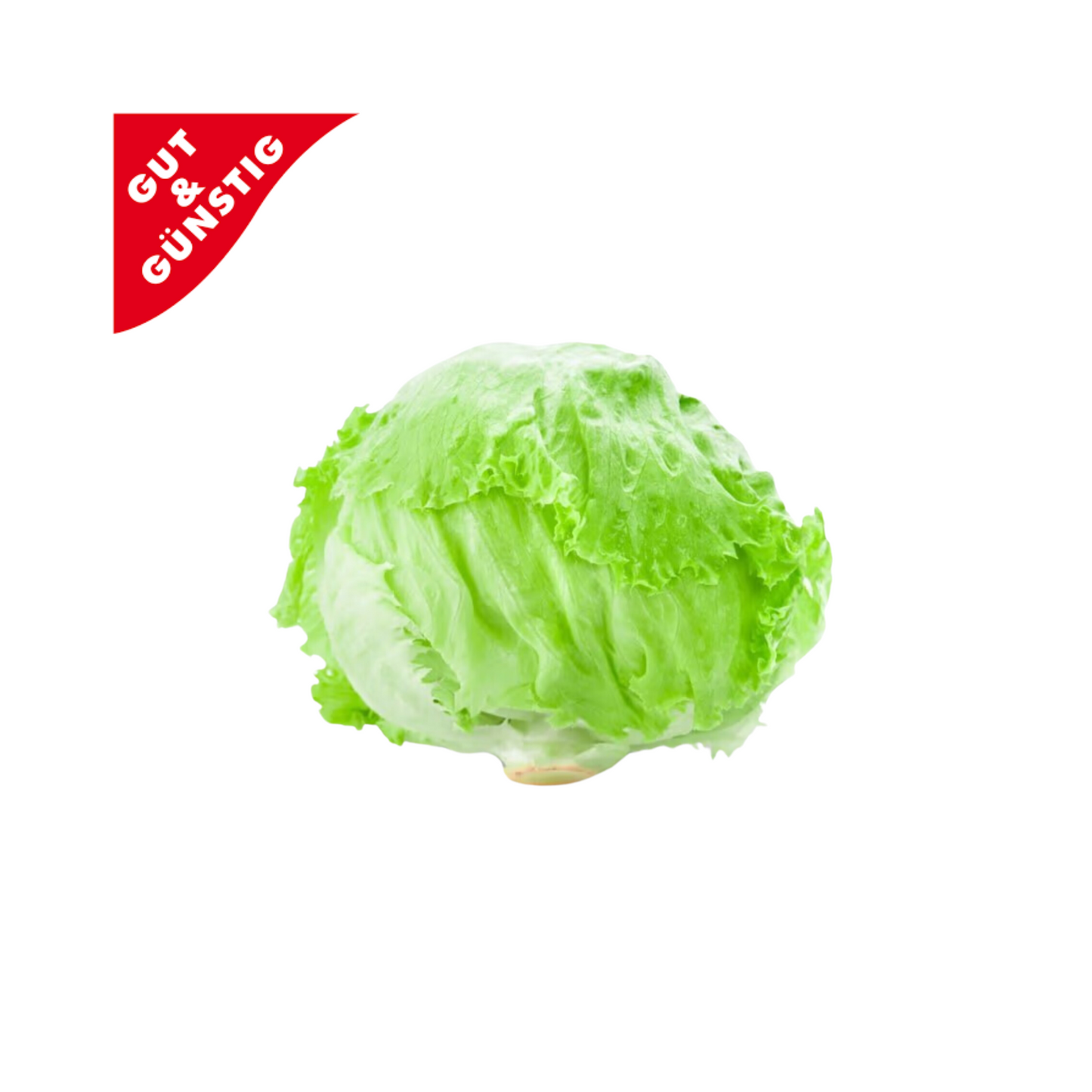 products/000000000004495648.png