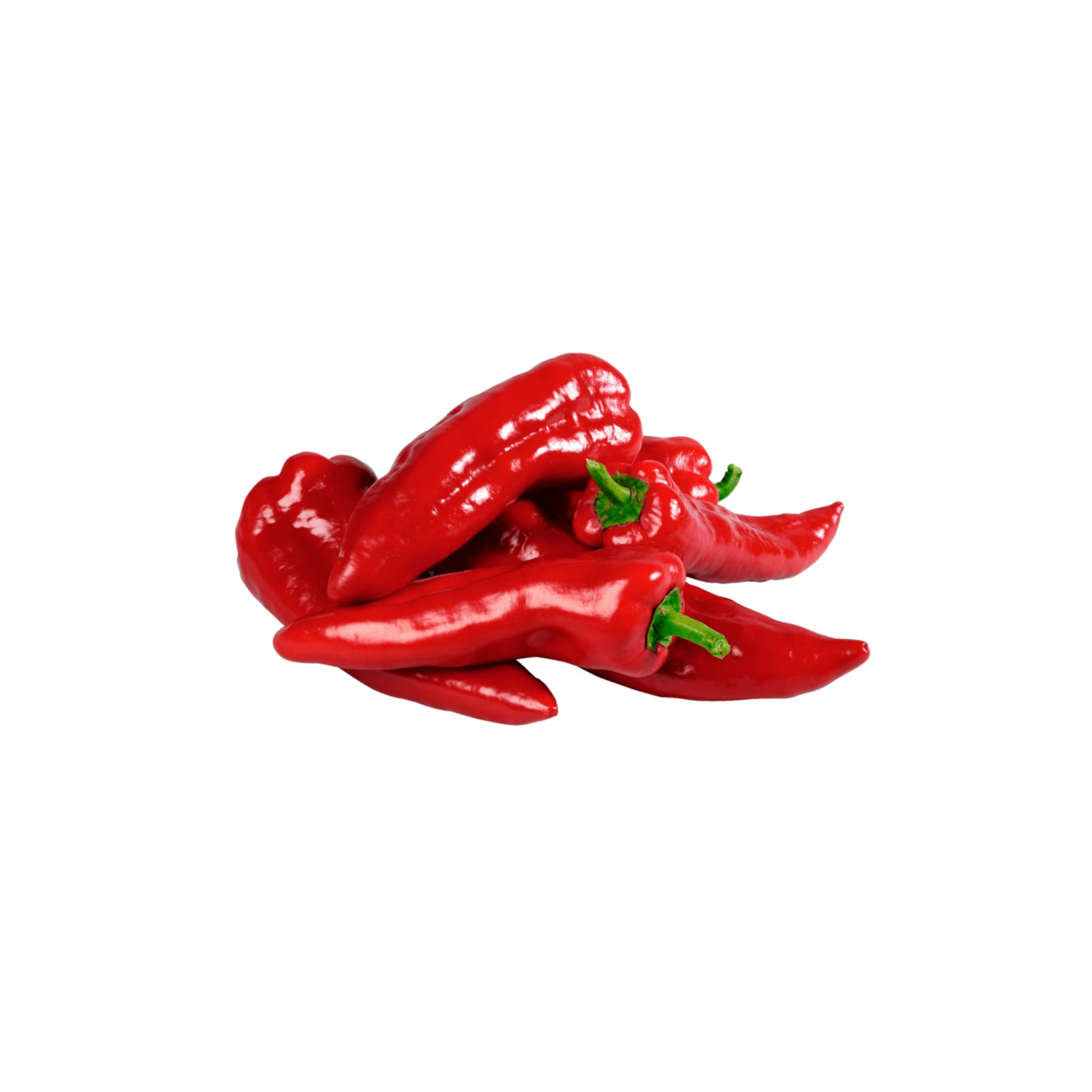 products/000000000004515559.png