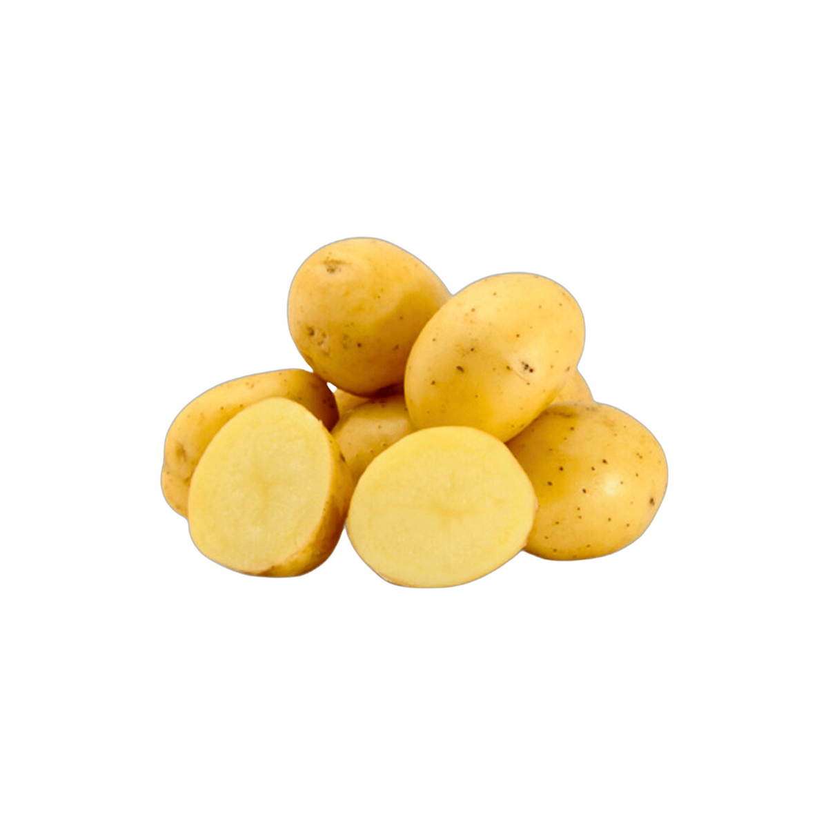 products/000000000004585152.png