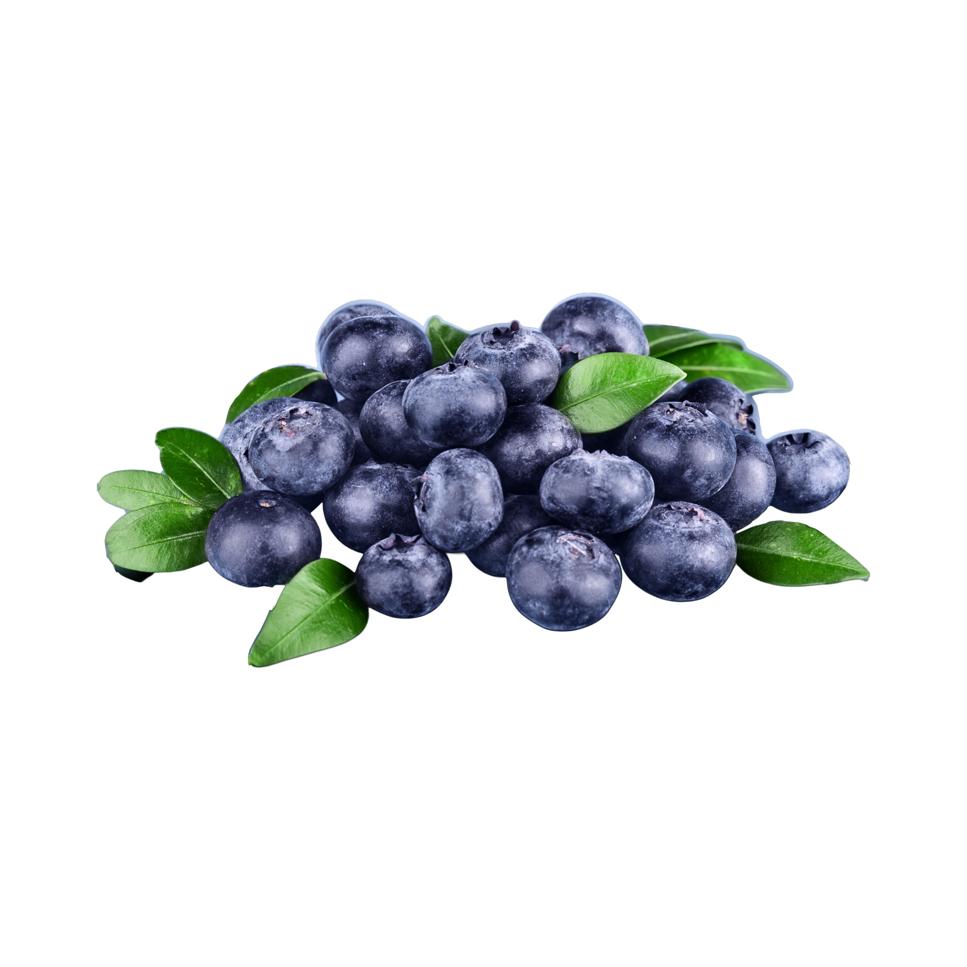 products/000000000004592990.png