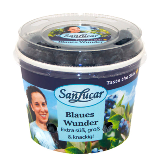 products/000000000004593832.jpg