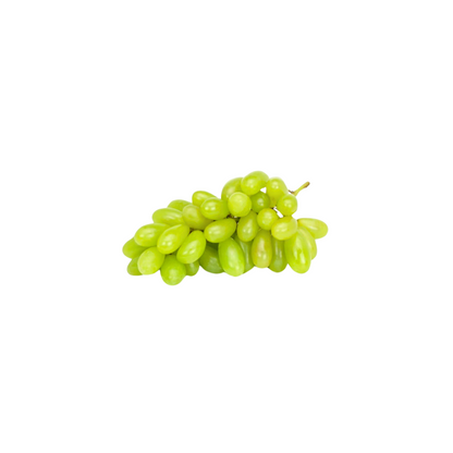 products/000000000004600730.png