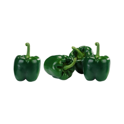 products/000000000004603333.png