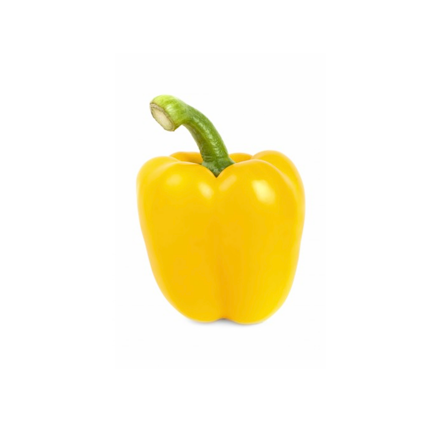 products/000000000004603357.png