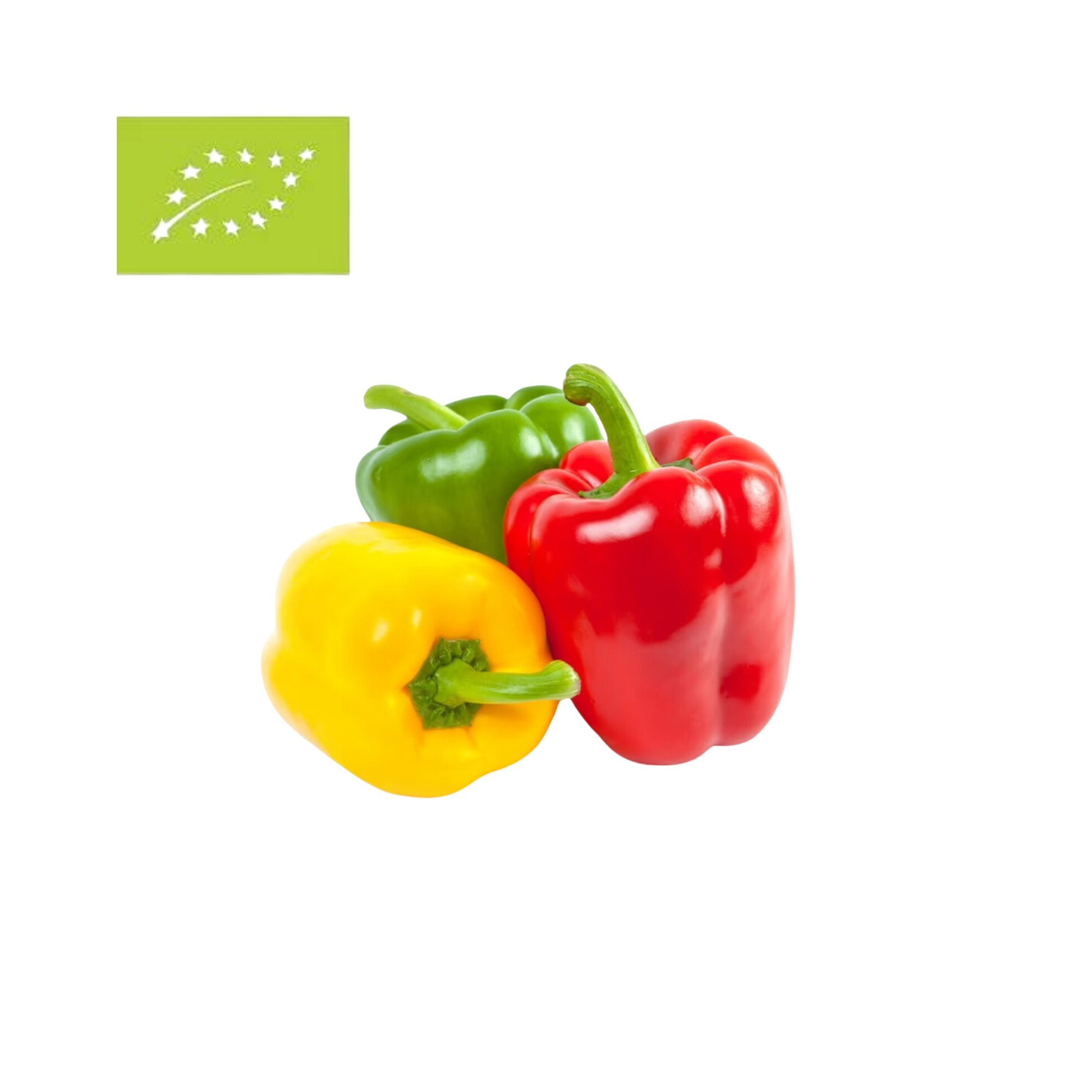 products/000000000004800363.png