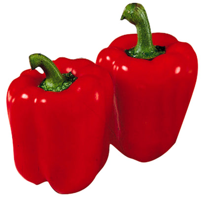 products/000000000004800370.jpg