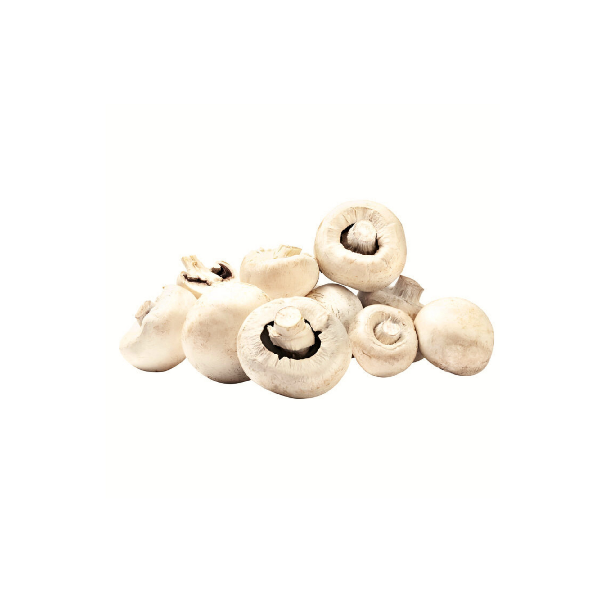products/000000000004800660.png