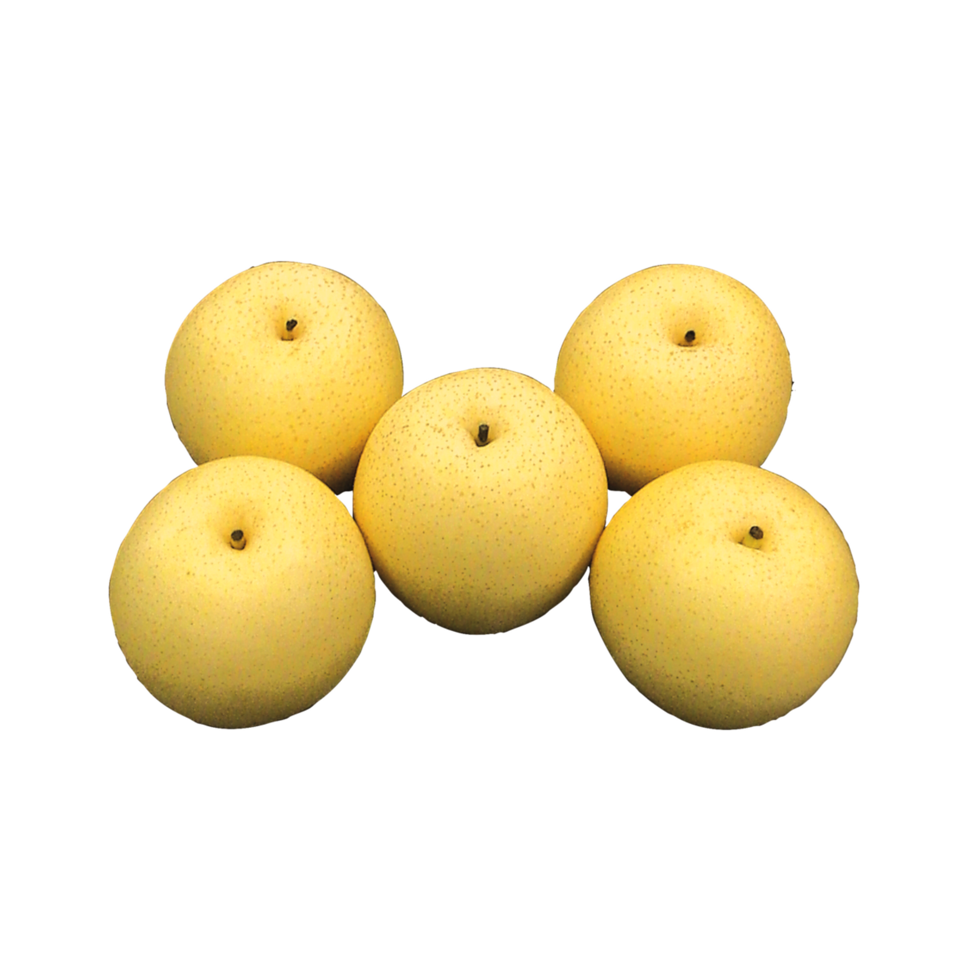products/000000000004800998.png