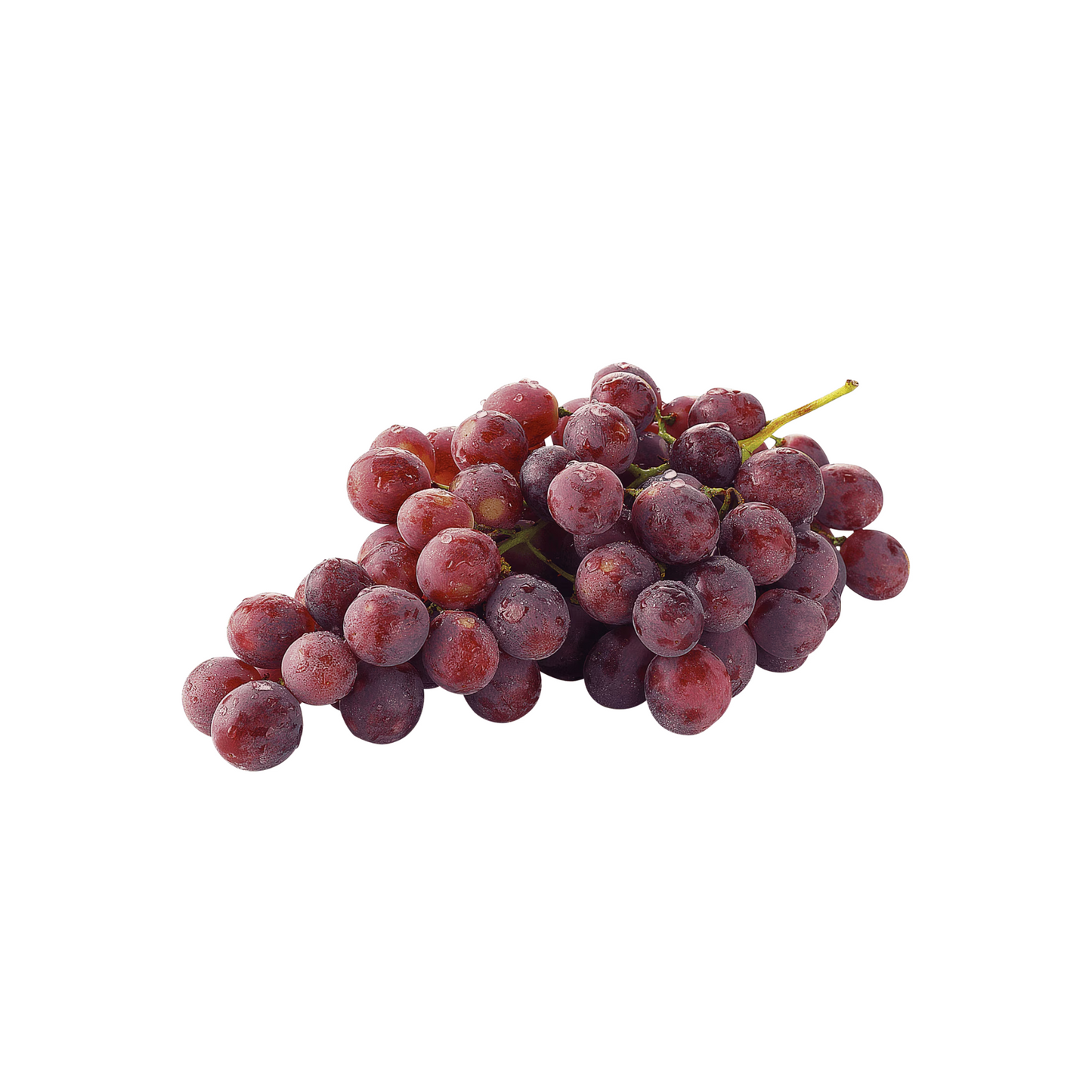 products/000000000004801779.png