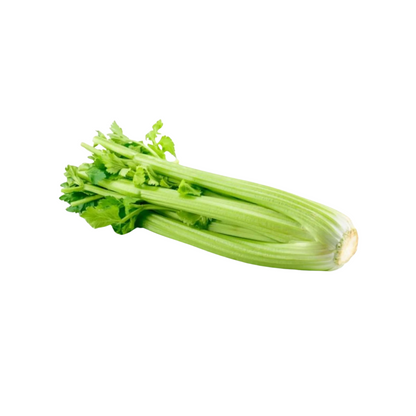 products/000000000004806095.png