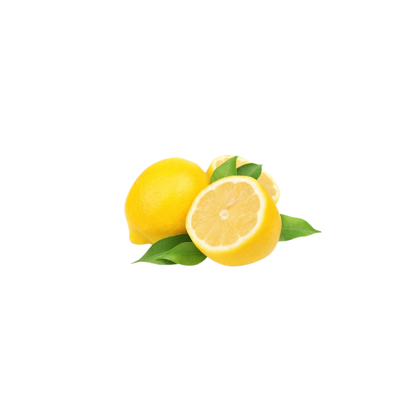 products/000000000004806408.png