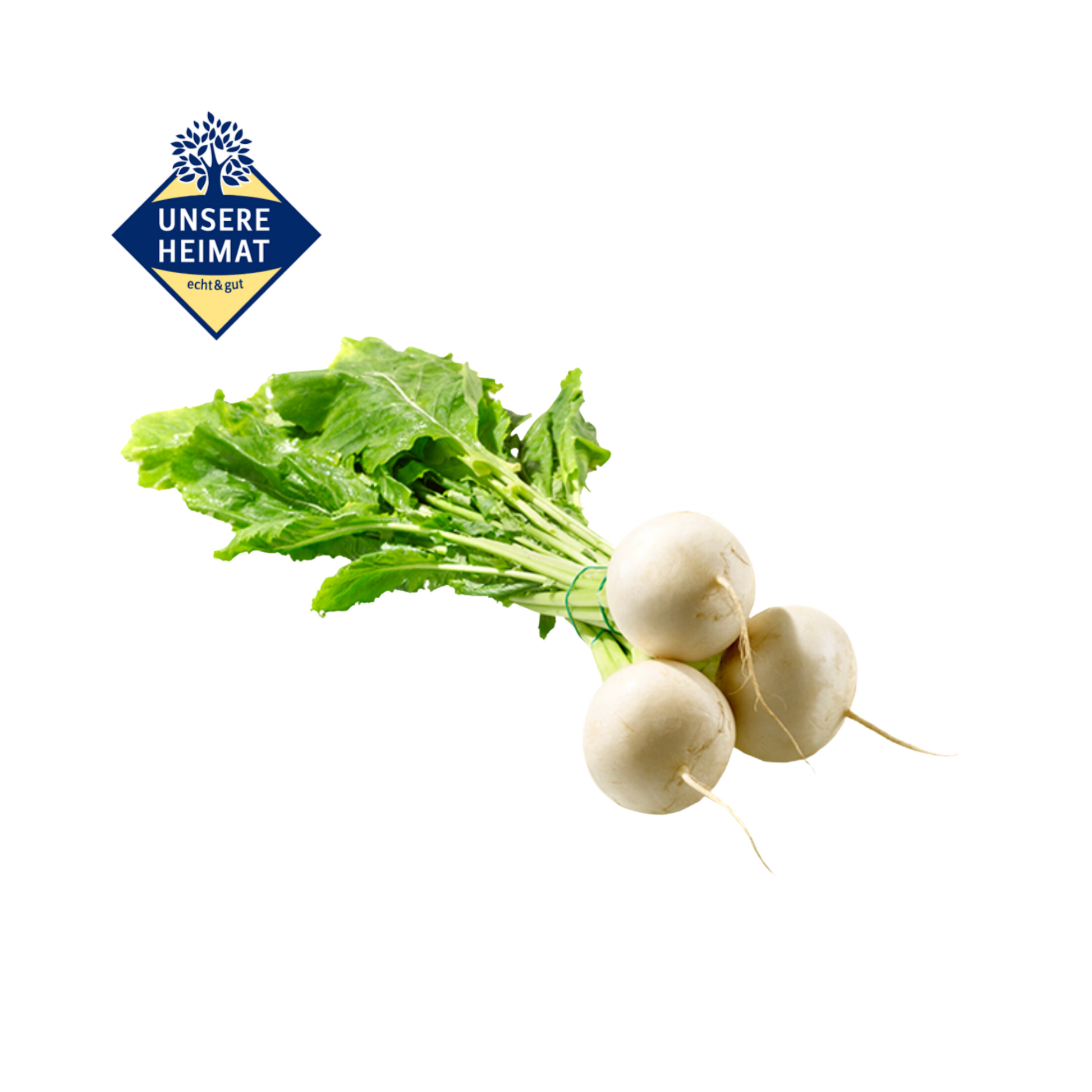 products/000000000004806774.png