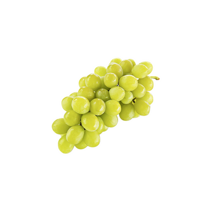 products/000000000004816894.png