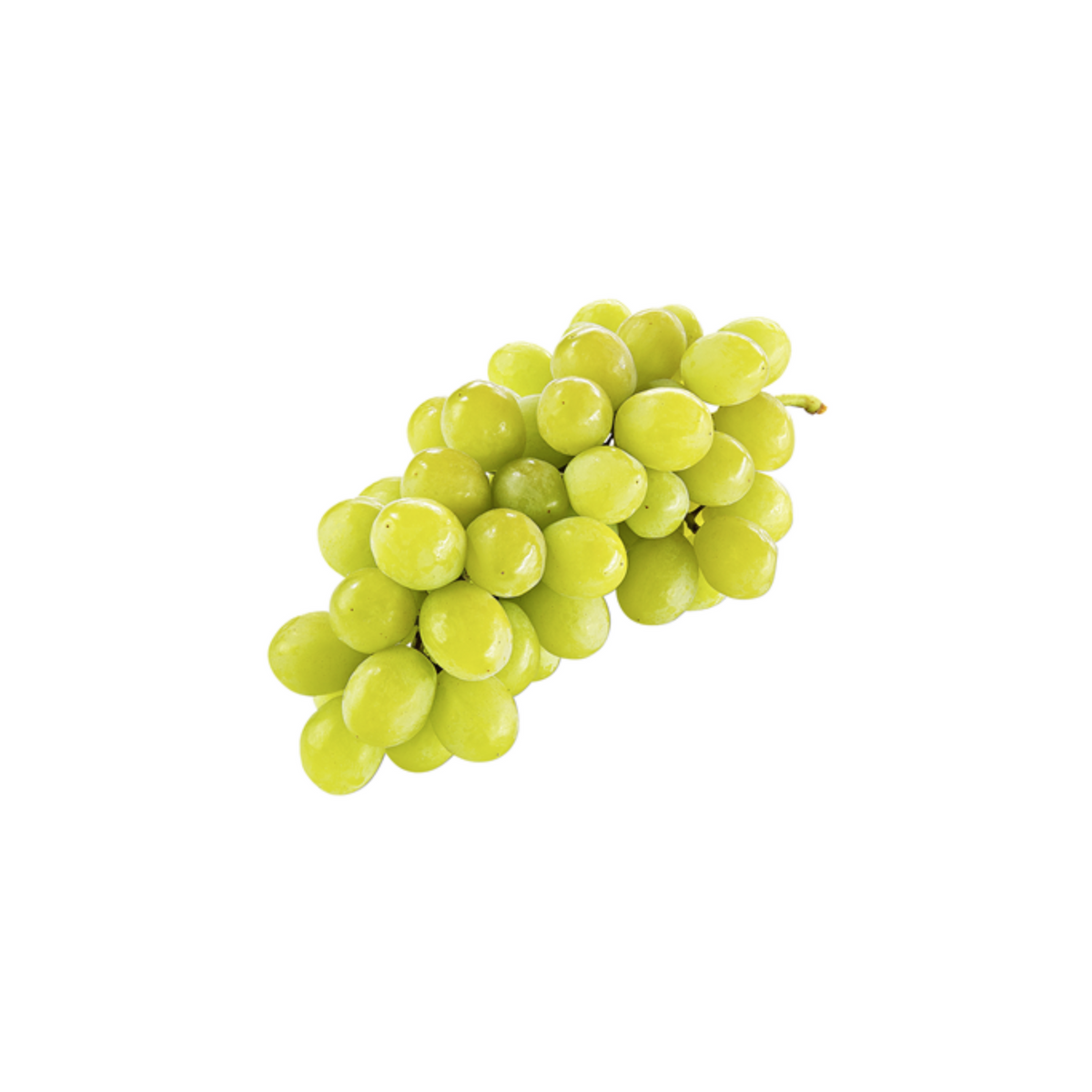 products/000000000004816894.png