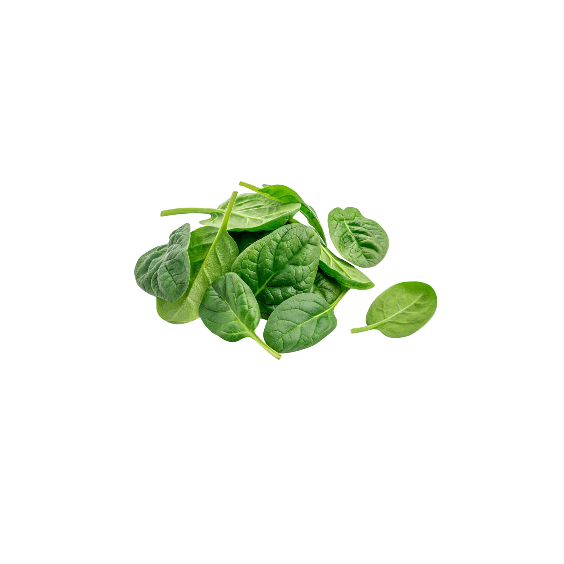 products/000000000004817200.png