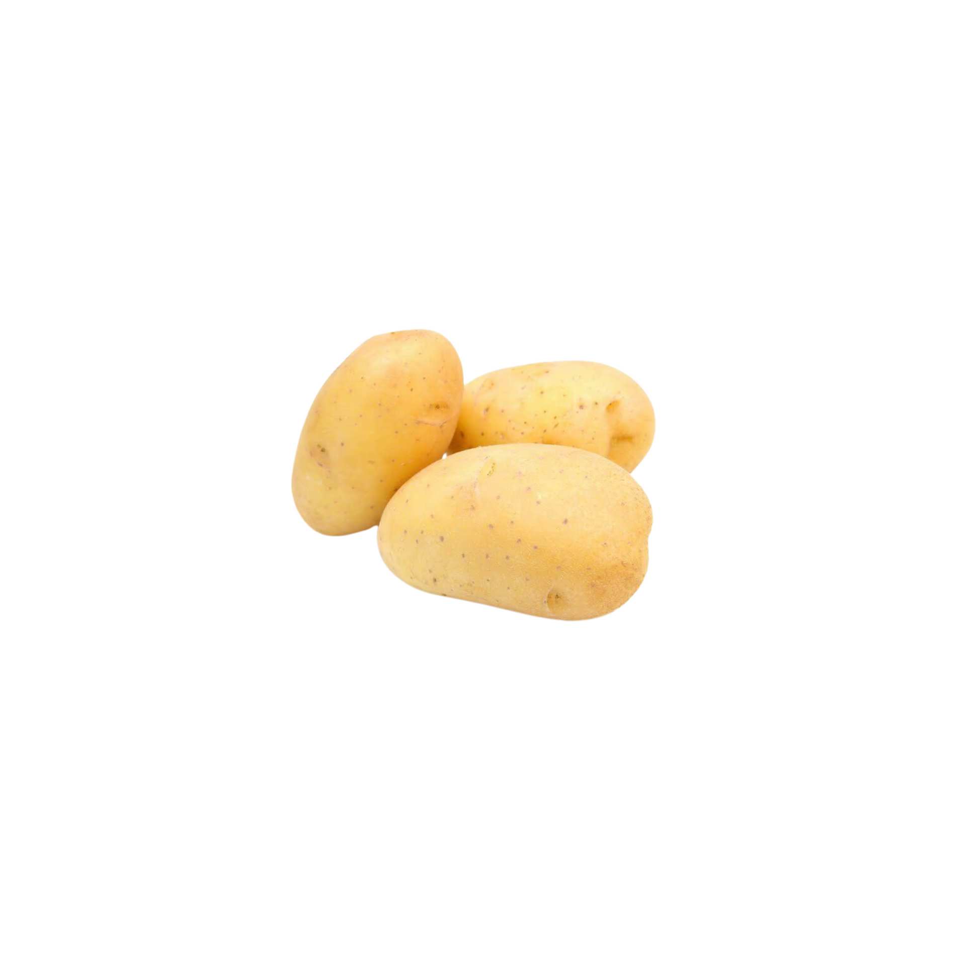 products/000000000004817347.png