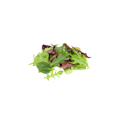 products/000000000004817354.png
