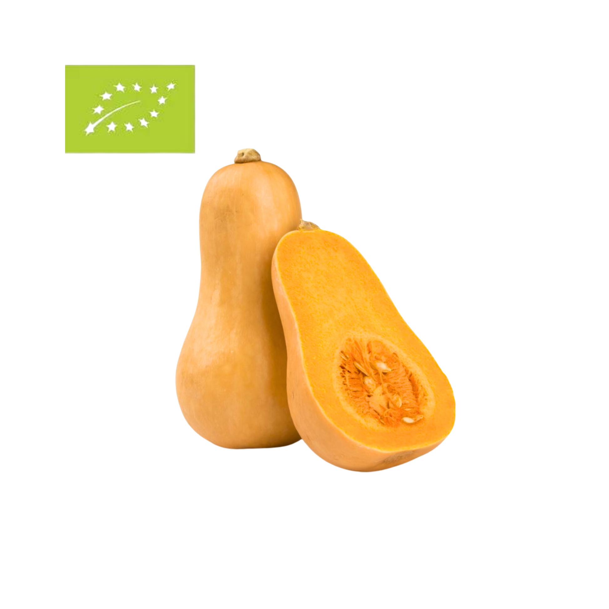 products/000000000080080347.png