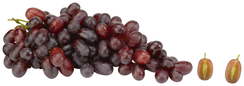 Tafeltrauben rot kernlos Sheegene 20 Südafrika Klasse I