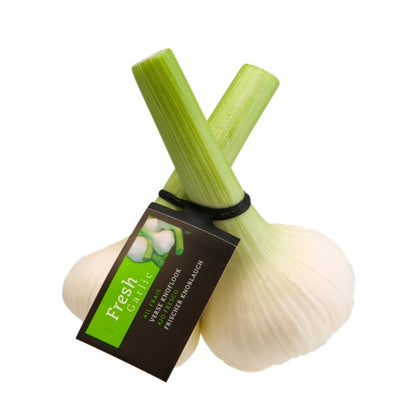 products/000000000081321669.jpg