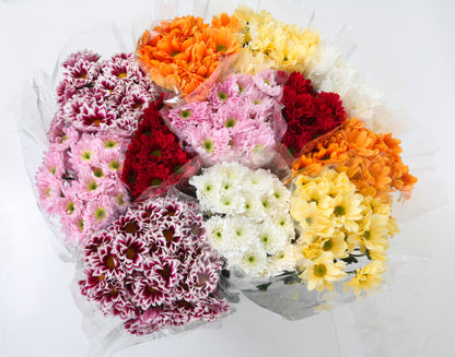 products/000000000089324990.jpg