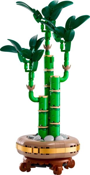 products/000000006465051009.jpg