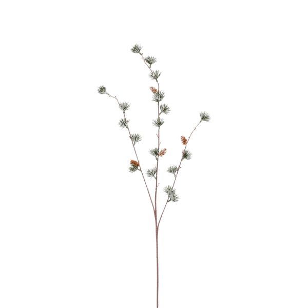 products/000000006602985000.jpg