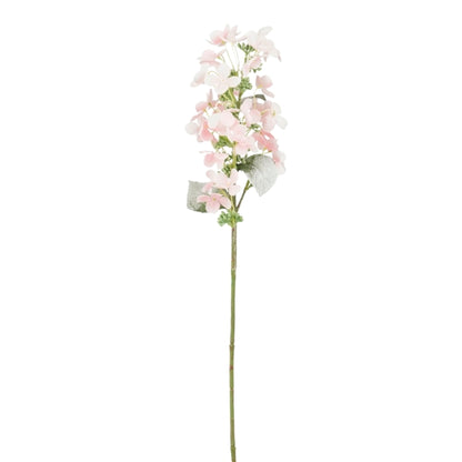 products/000000006603041002.jpg